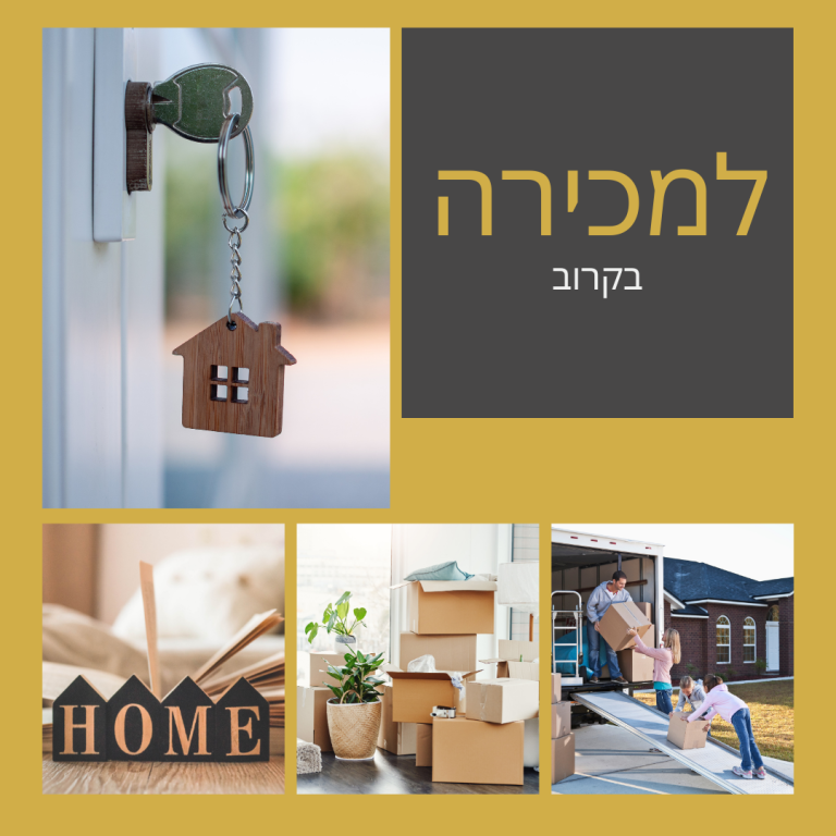 טל מרגלית - יועצת נדל"ן